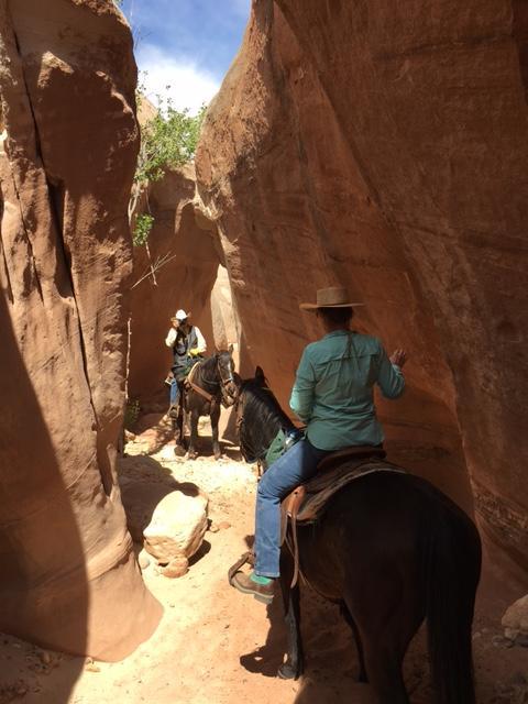 Farm stay Paria River Ranch